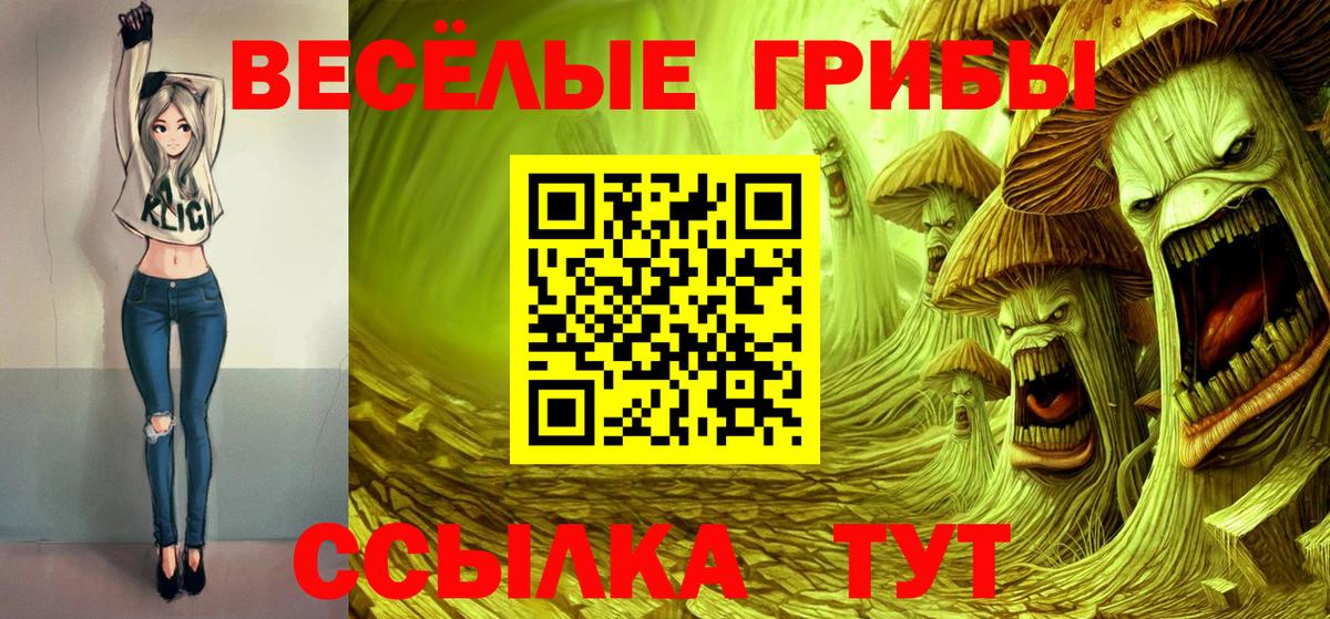 Копейск  Псилоцибиновые грибы мухоморы  Вход с VPN 